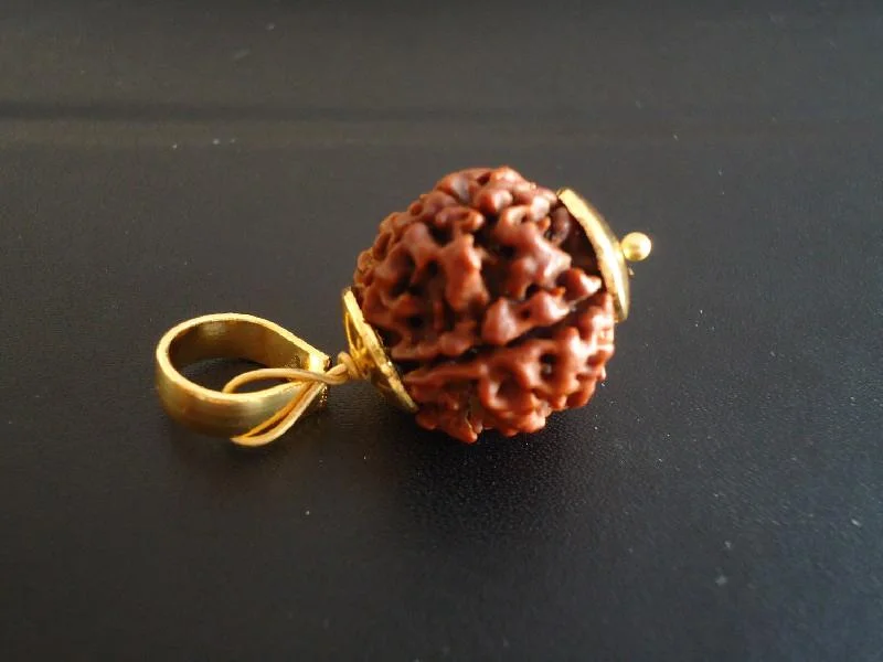 Gauri Shankar Rudraksha